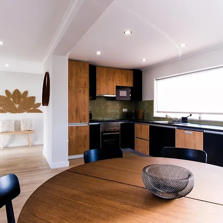 Casa Do Gato Sete Riscas